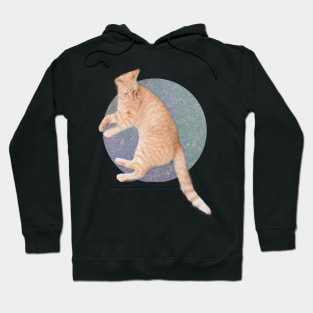 Cat Lounging Hoodie